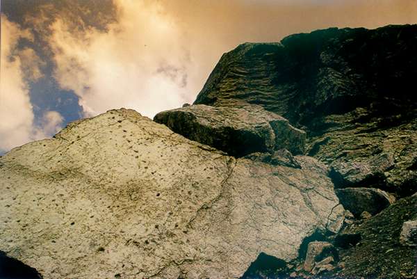 orme%20dinosauro_grande