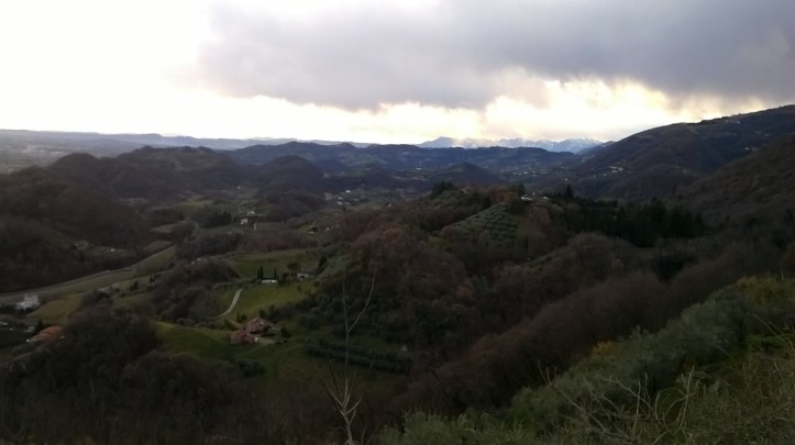 wp_20160117_15_49_45_pro