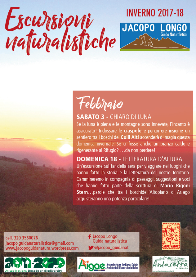 schede-febbraio-invero-17-18