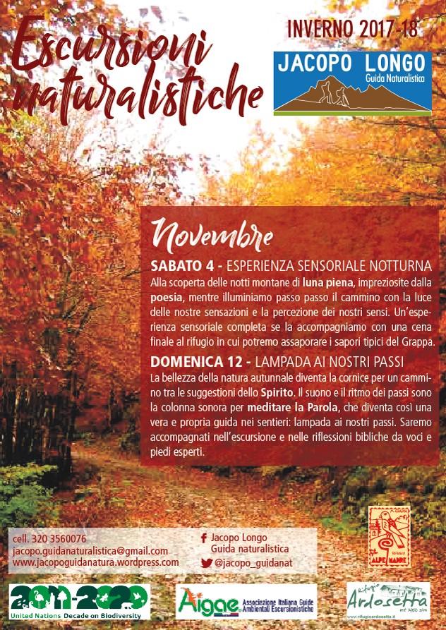 schede-novembre-invero-17-18