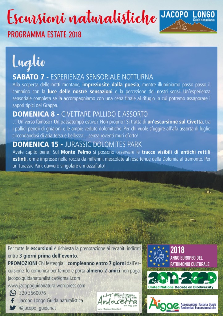 schede-singole-estate-18_luglio