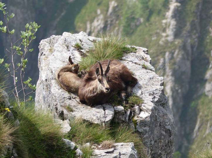 34395350_921675468013375_5163646078251171840_n